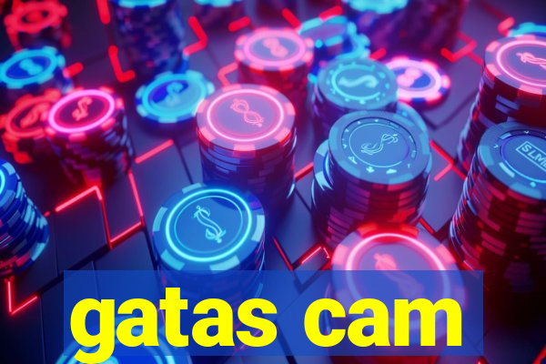 gatas cam